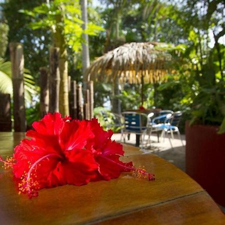 Villas Del Caribe Puerto Viejo de Talamanca Kültér fotó