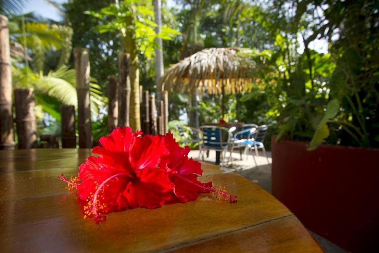 Villas Del Caribe Puerto Viejo de Talamanca Kültér fotó