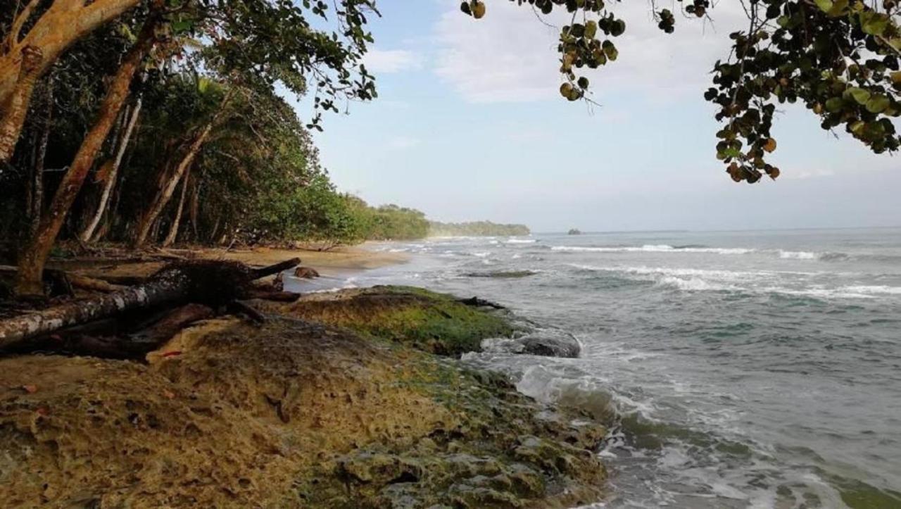 Villas Del Caribe Puerto Viejo de Talamanca Kültér fotó
