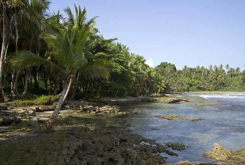 Villas Del Caribe Puerto Viejo de Talamanca Kültér fotó