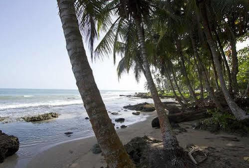 Villas Del Caribe Puerto Viejo de Talamanca Kültér fotó